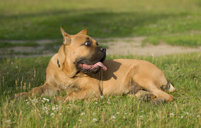 Similar image 603792