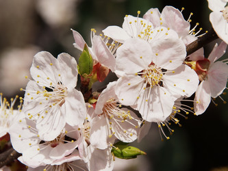 Similar image 603826