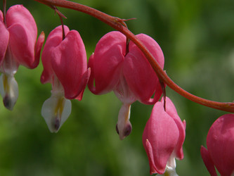 Similar image 603859