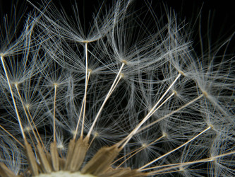 Similar image 603860