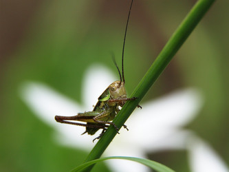 Similar image 603862