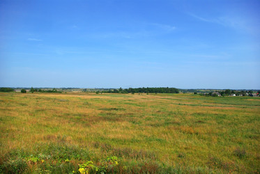 Similar image 603864