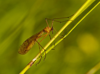 Similar image 603941