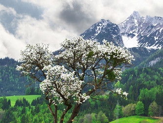 Similar image 604014