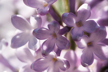 Similar image 604174