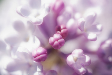 Similar image 604175