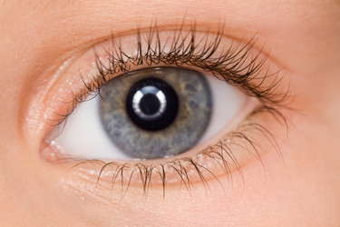 Similar image 604245