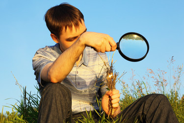 Similar image 604251