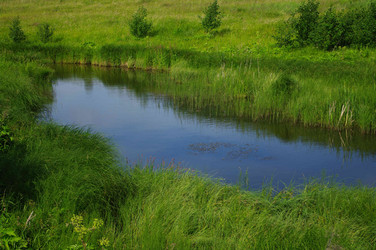 Similar image 604285