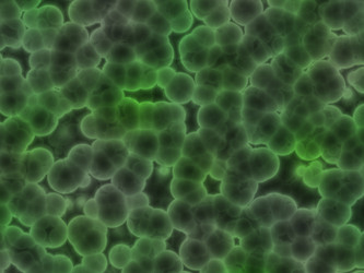 Similar image 604363