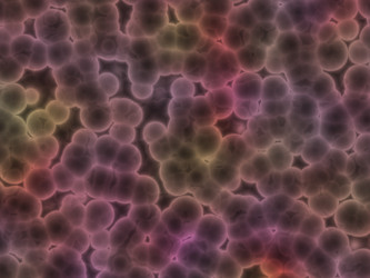 Similar image 604364