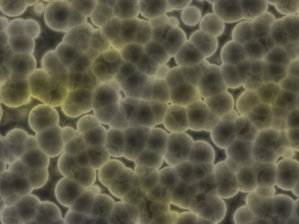 Similar image 604366