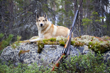 Similar image 604410