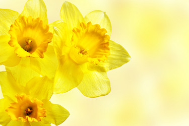 Similar image 604416