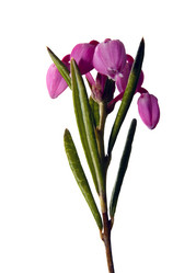 Similar image 604504