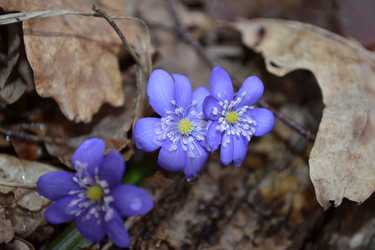 Similar image 604521