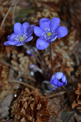 Similar image 604522