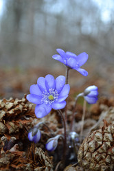 Similar image 604523