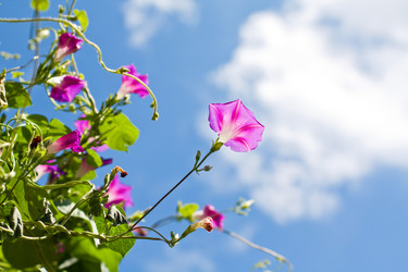 Similar image 604524