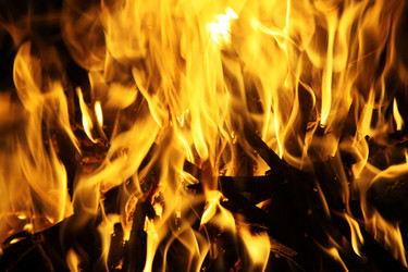 Similar image 604617