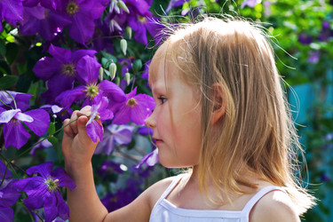 Similar image 604621