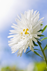 Similar image 604622