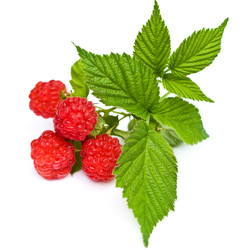 Similar image 604624