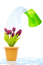 Similar image 604677