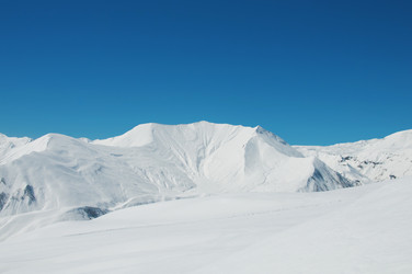 Similar image 604682