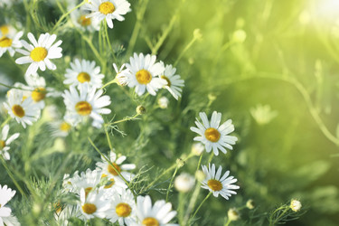 Similar image 605077