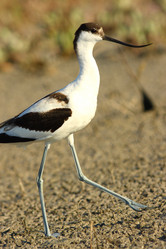 Similar image 605181