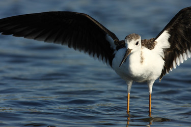 Similar image 605182