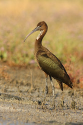 Similar image 605186