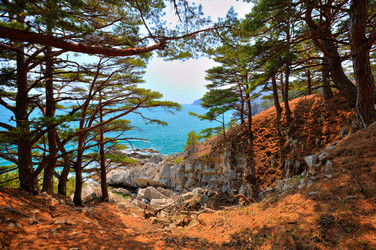 Similar image 605200