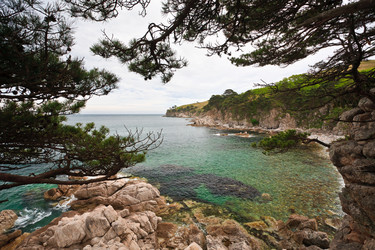 Similar image 605202