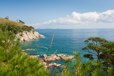 Similar image 605240