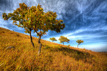 Similar image 605283