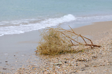 Similar image 605301