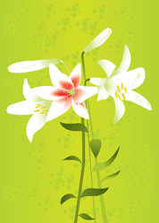 Similar image 605355