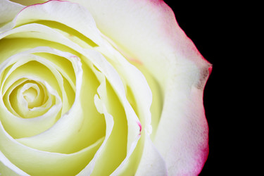 Similar image 605356