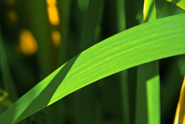 Similar image 605359