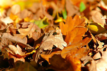 Similar image 605361