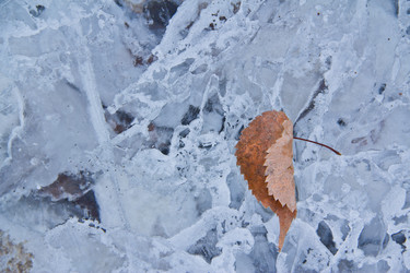 Similar image 605391