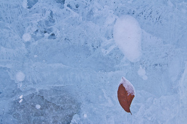 Similar image 605394