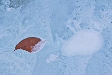 Similar image 605399