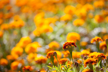 Similar image 605413