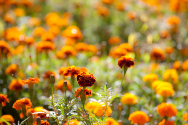 Similar image 605414