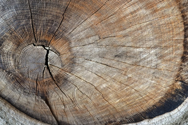 Similar image 605437