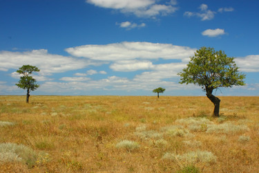 Similar image 605468