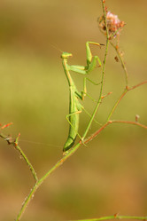 Similar image 605472